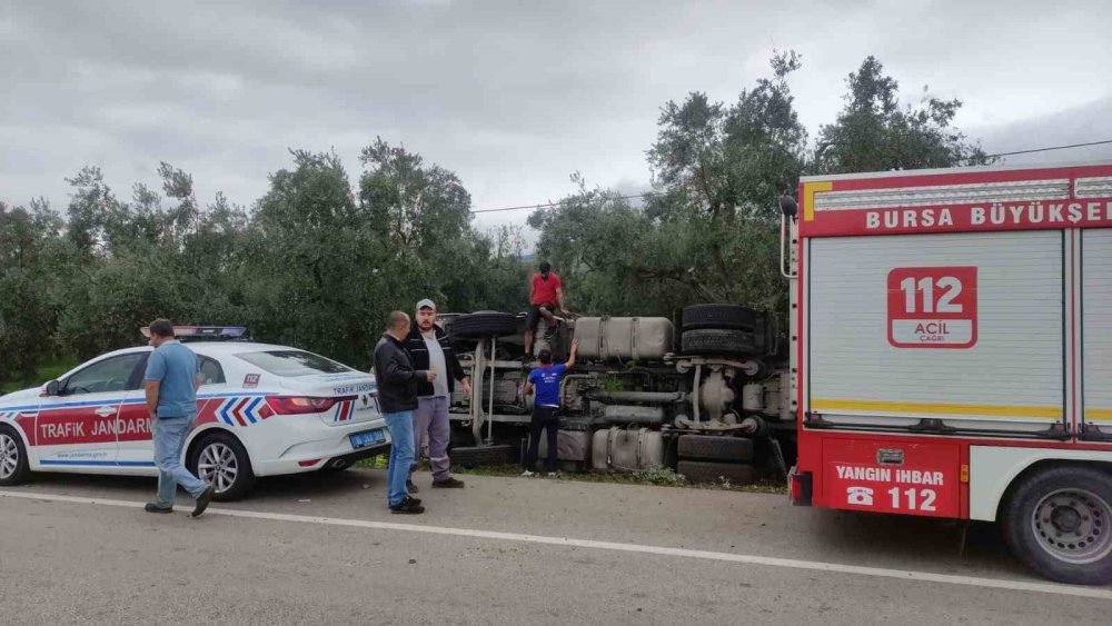 Çimento Yüklü Tanker Zeytinliğe Devrildi