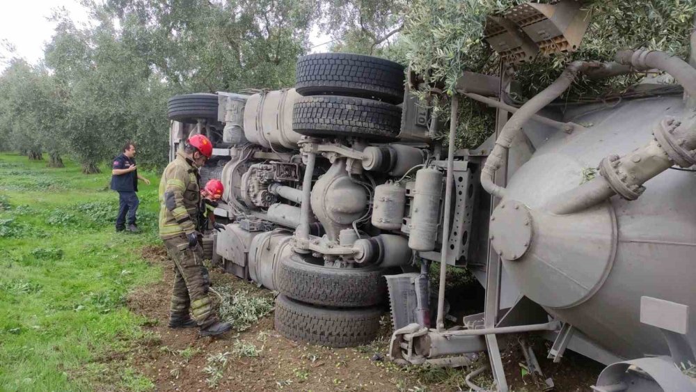 Çimento Yüklü Tanker Zeytinliğe Devrildi