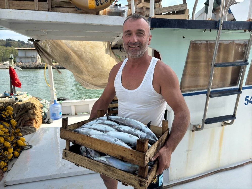 Karadeniz’de Palamut Bolluğu Bekleniyor