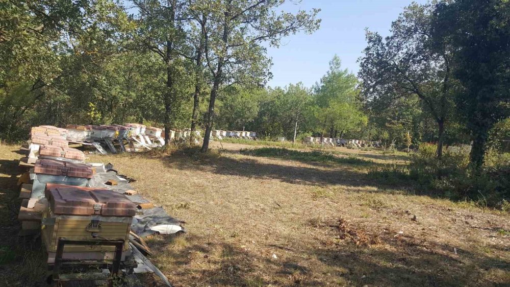 Zarar Gören Arı Kovanları Üretici Desteğiyle Yenilendi