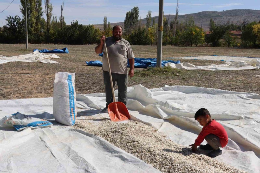 Tüccarın Fırsatçılığı Çiftçiyi Mağdur Ediyor