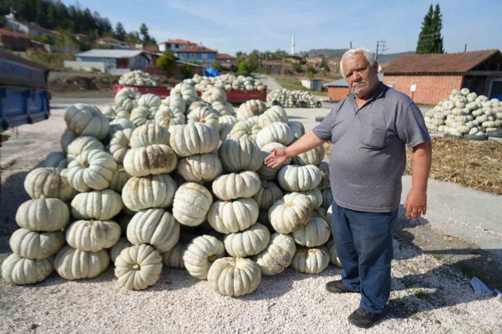 Bilecik'te üretiliyor, 40 şehre satılıyor