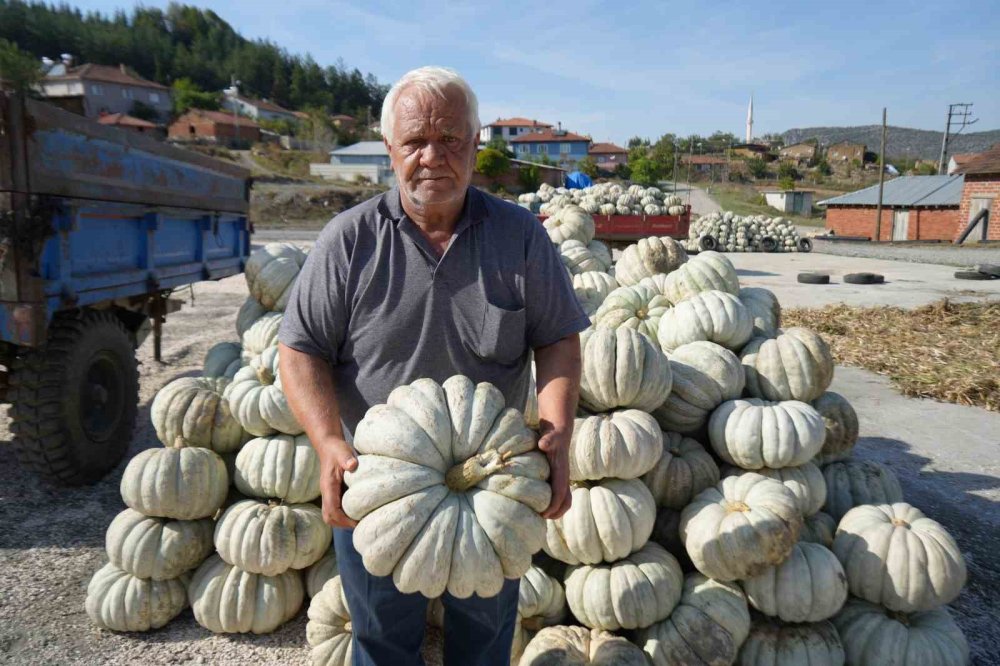 Bilecik'te üretiliyor, 40 şehre satılıyor