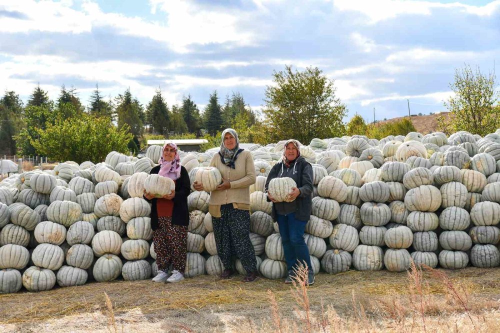 Üretici Kadınlar Mutlu ve Gururlu