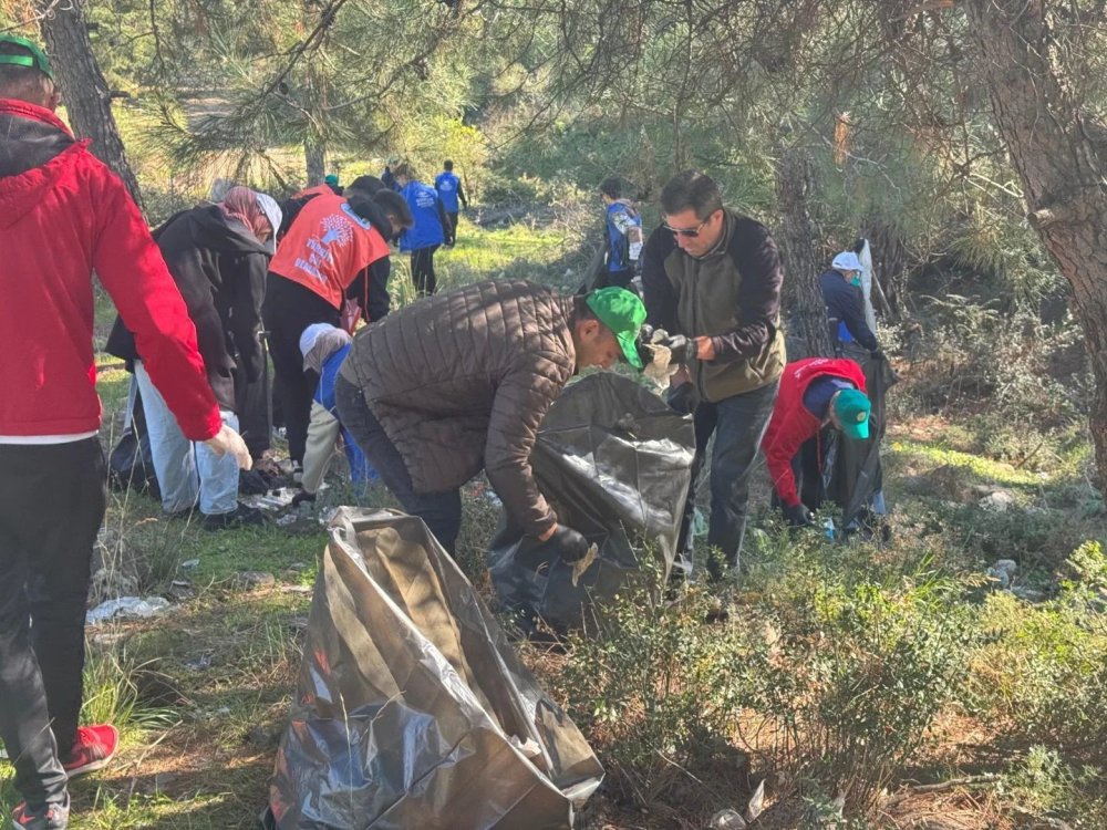 Ormanlar Karış Karış Temizlendi