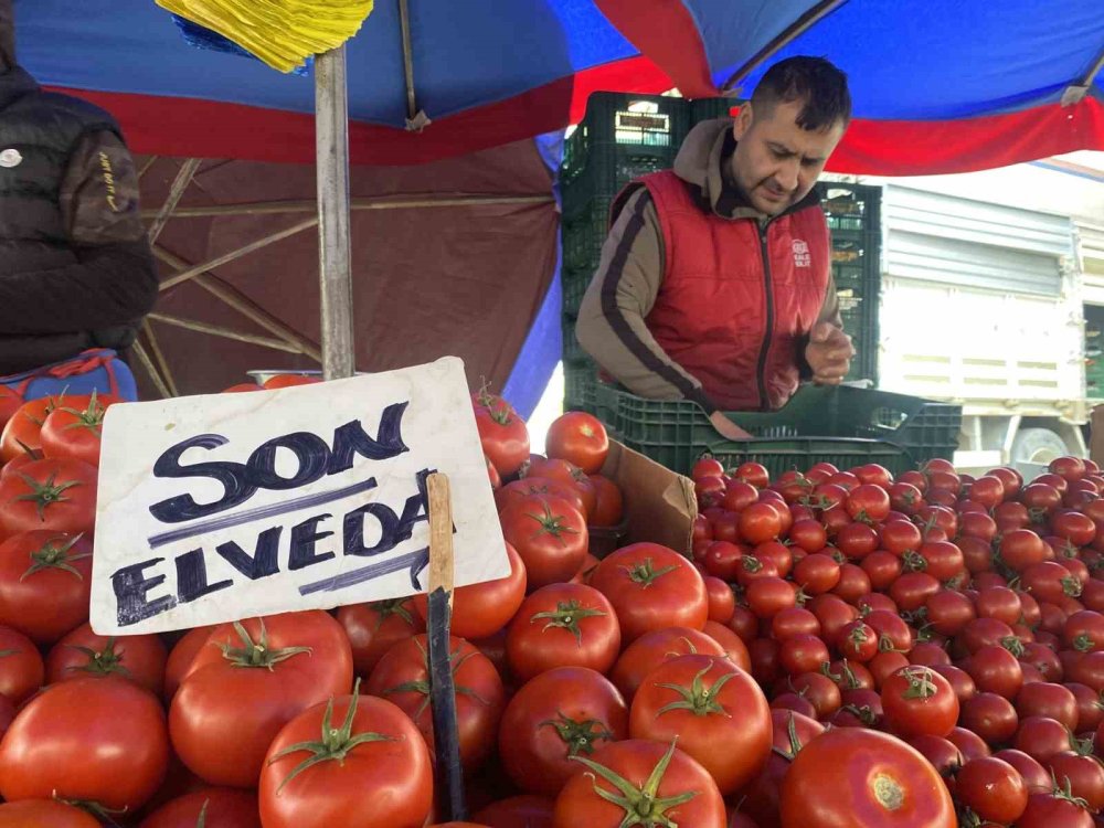 Ucuz Ve Lezzetli Bahçe Domateslerine Esnaf ’son Elveda’ Dedi