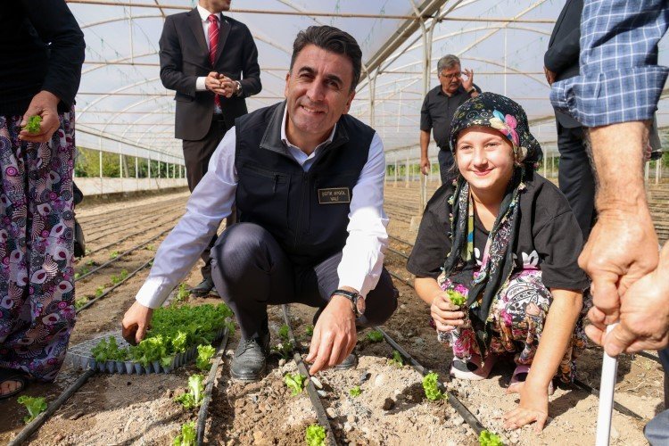 Türkiye’nin Marul İhtiyacının 5’te 1’i Marmara’nın Küçük Antalya’sından Karşılanıyor