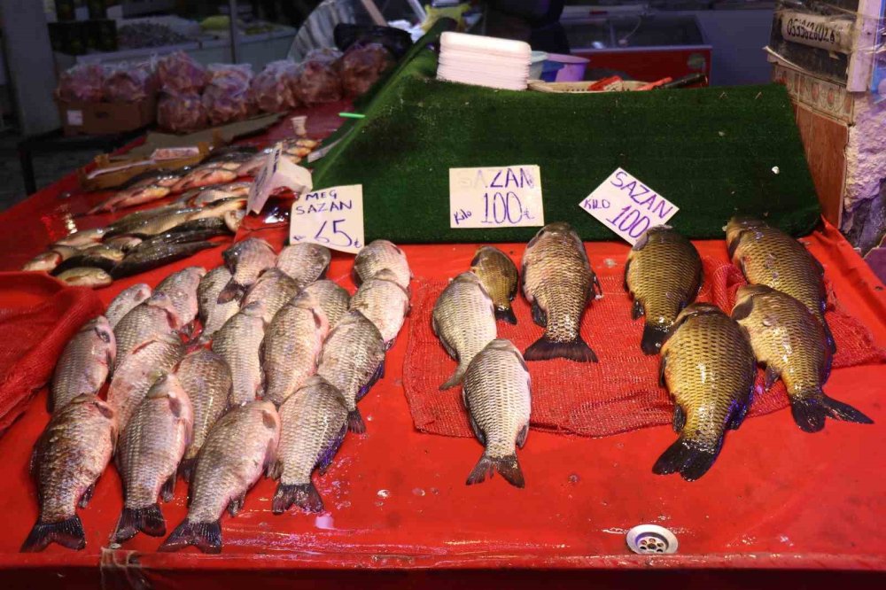 Tezgahlarda Çeşit Çok Ama En Çok Palamut Satılıyor