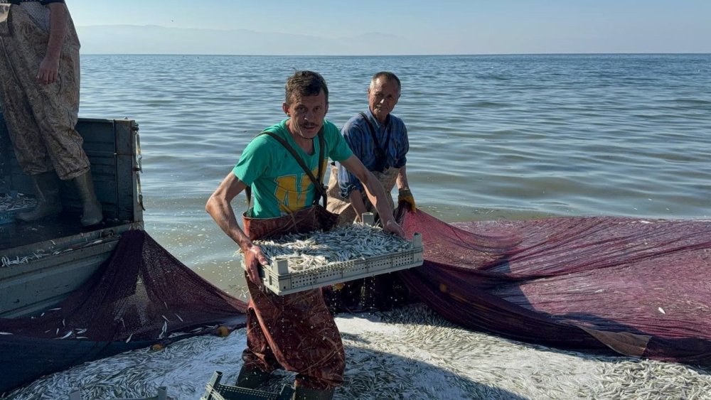 Bir Seferde 5 Ton Gümüş Balığı Avlandı