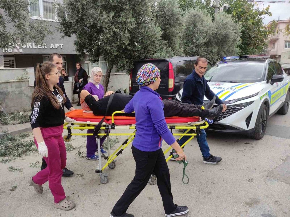 Zeytin Budarken Ağaçtan Düşen Adam Yaralandı