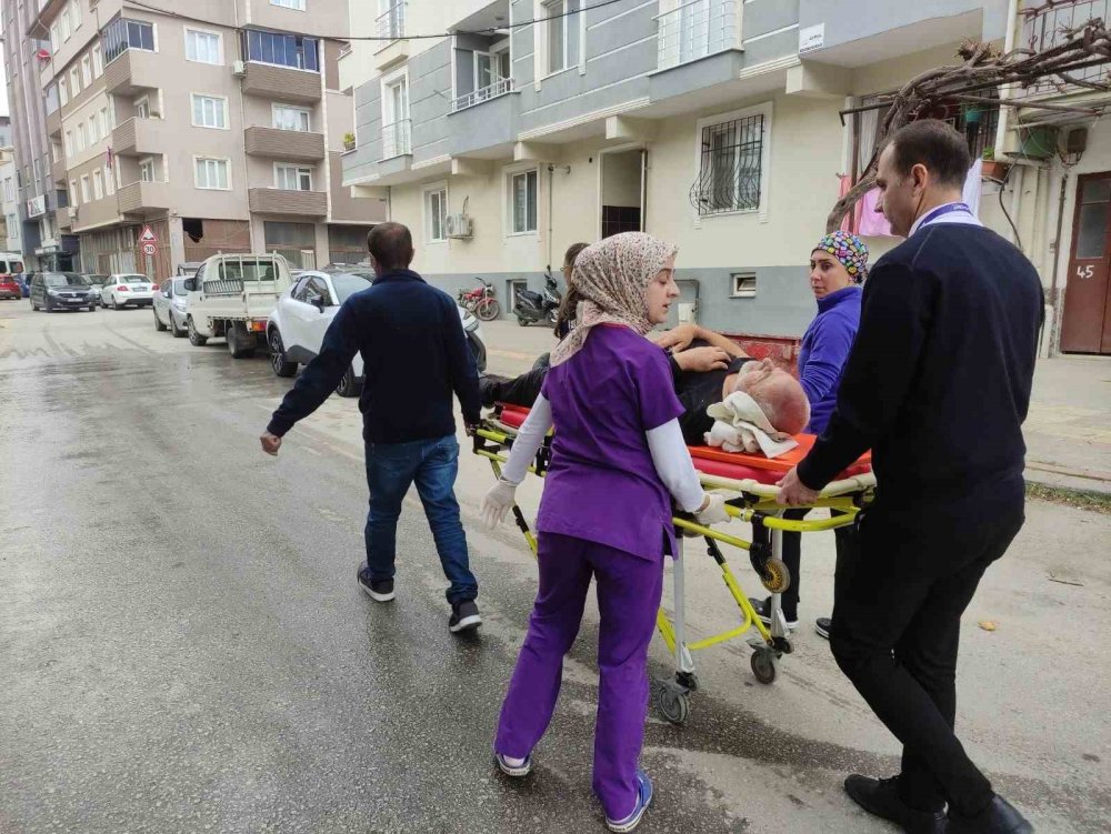 Zeytin Budarken Ağaçtan Düşen Adam Yaralandı