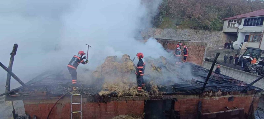 Samanlıkta Başlayan Yangın İki Traktörün Kül Olmasına Sebep Oldu