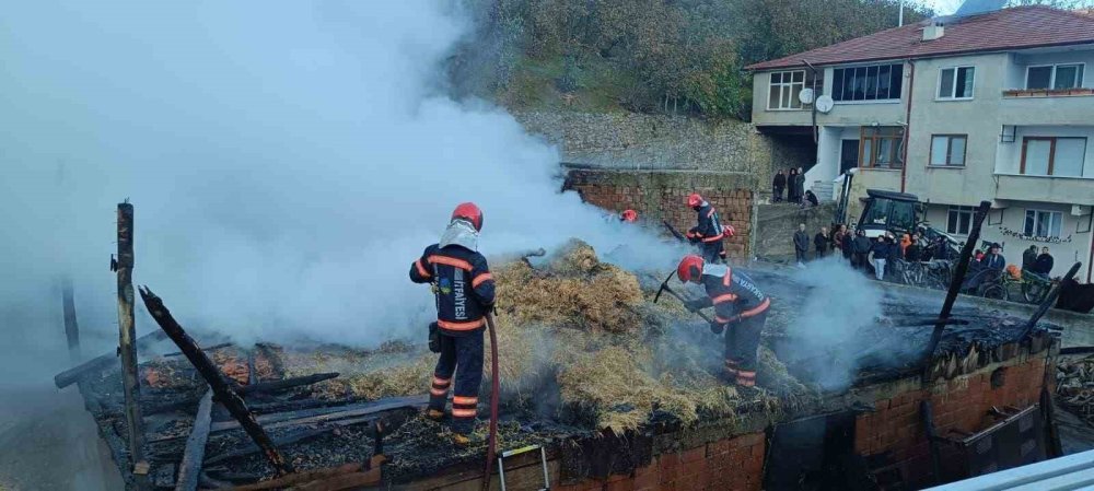 Samanlıkta Başlayan Yangın İki Traktörün Kül Olmasına Sebep Oldu