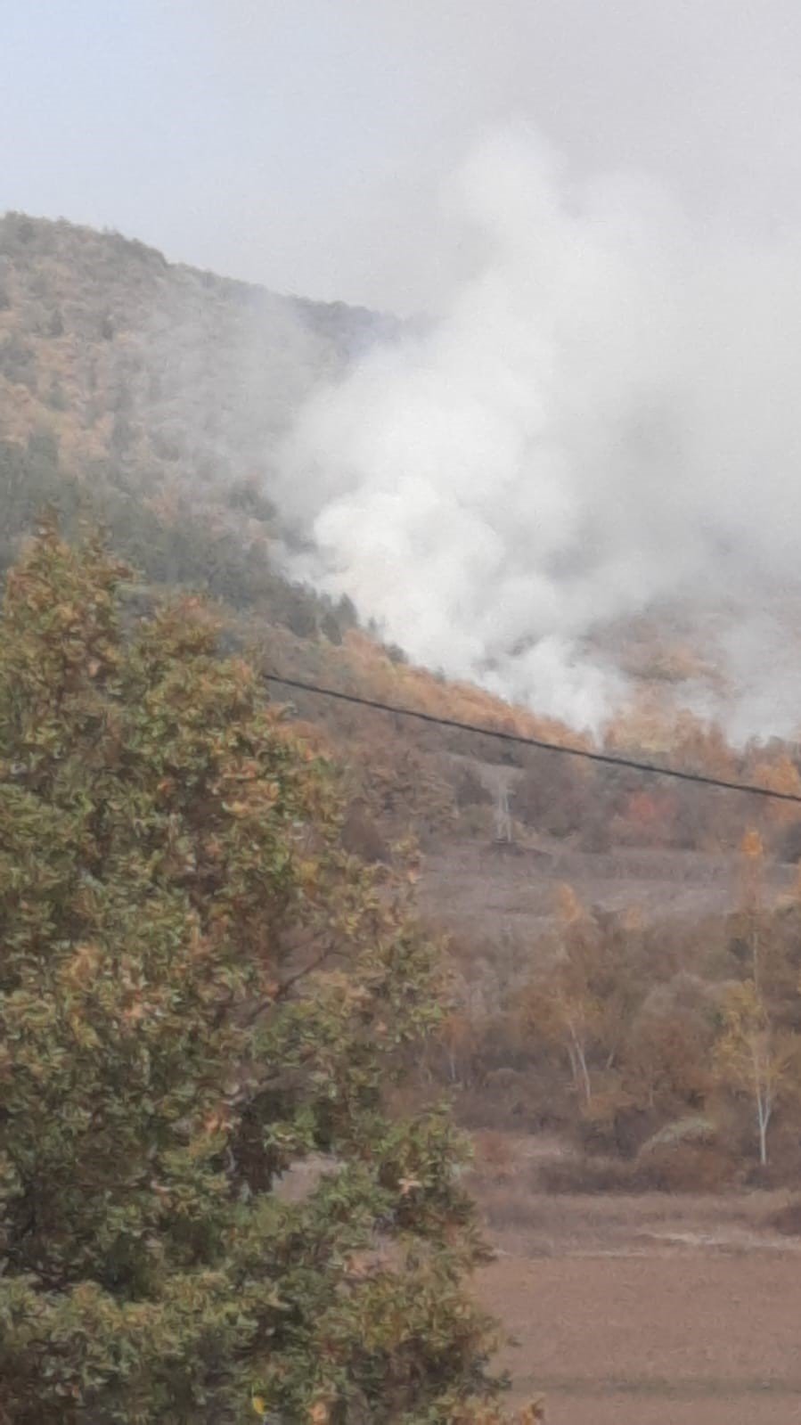 Bilecik’te Korkutan Orman Yangını