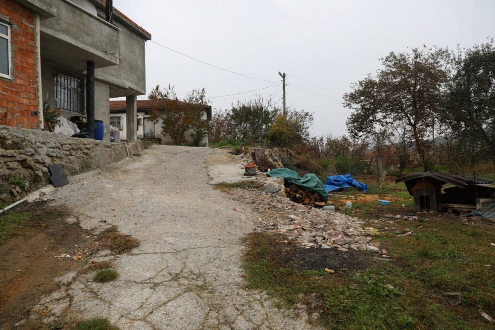 Çalındı Zannedilen Köpek, Kurtlar Tarafından Parçalandı