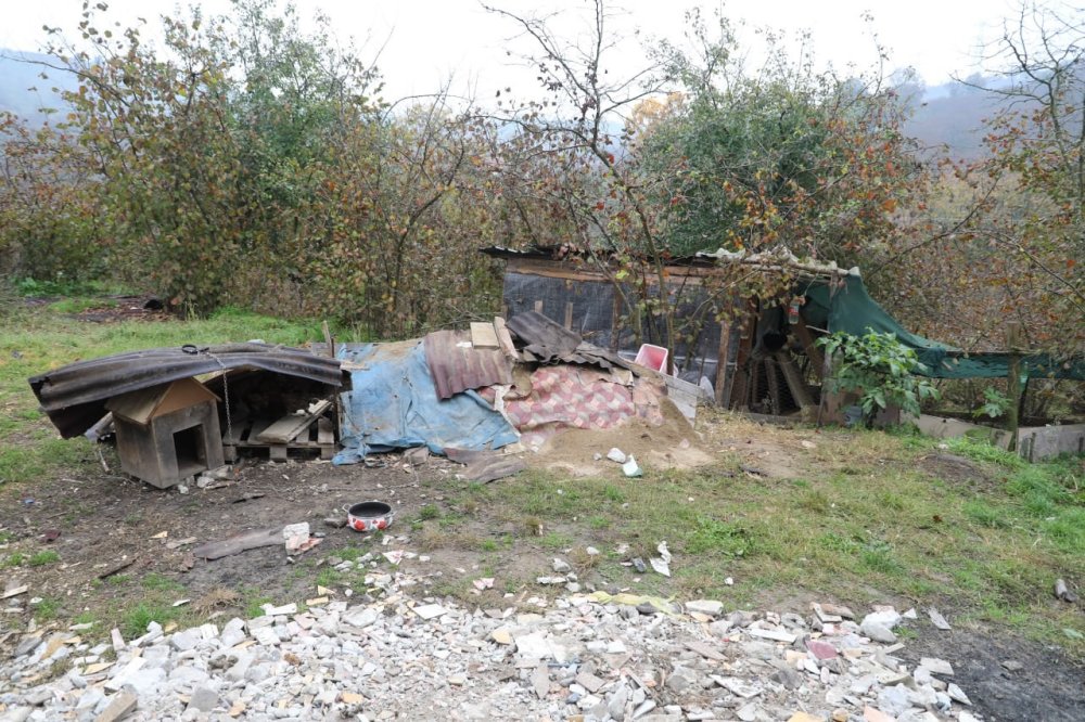 Çalındı Zannedilen Köpek, Kurtlar Tarafından Parçalandı