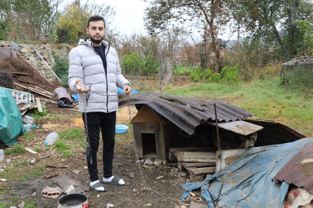 Çalındı Zannedilen Köpek, Kurtlar Tarafından Parçalandı