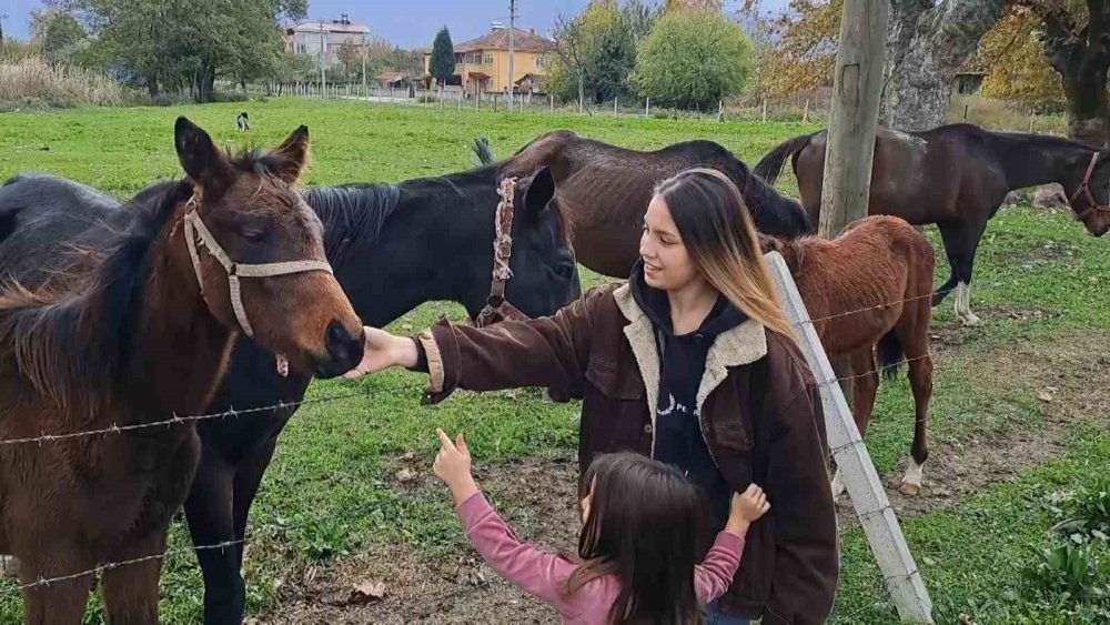 At Sevgisiyle Başlayan Hobi Hipodromda Devam Ediyor