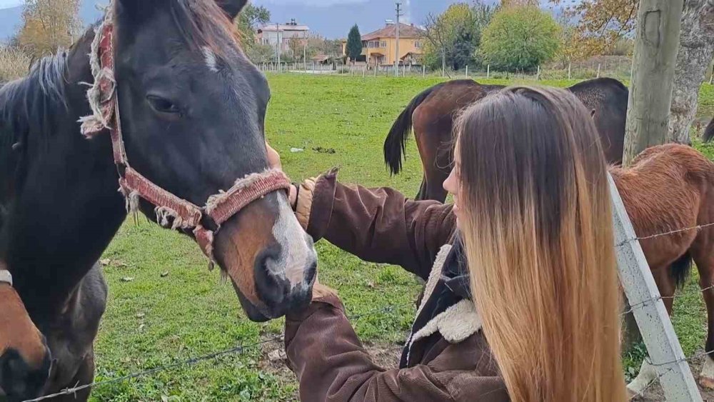 At Sevgisiyle Başlayan Hobi Hipodromda Devam Ediyor