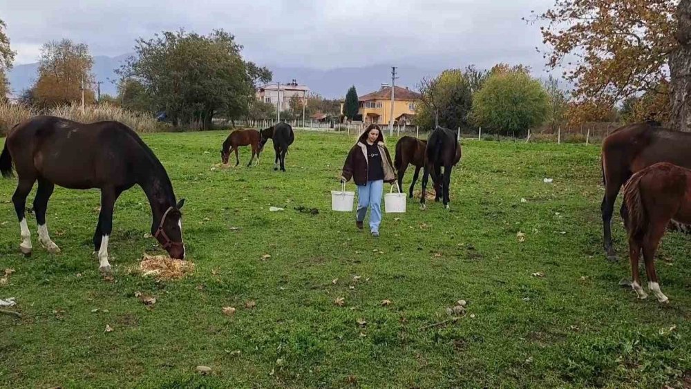 At Sevgisiyle Başlayan Hobi Hipodromda Devam Ediyor