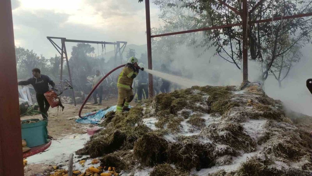 Bahçedeki Samanlar Alev Alev Yandı