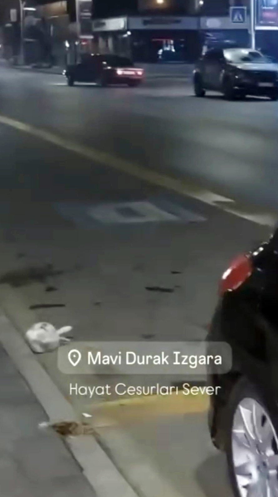 Hava Olsun Diye Attığı Drift, 45 Bin Liralık Yaptı