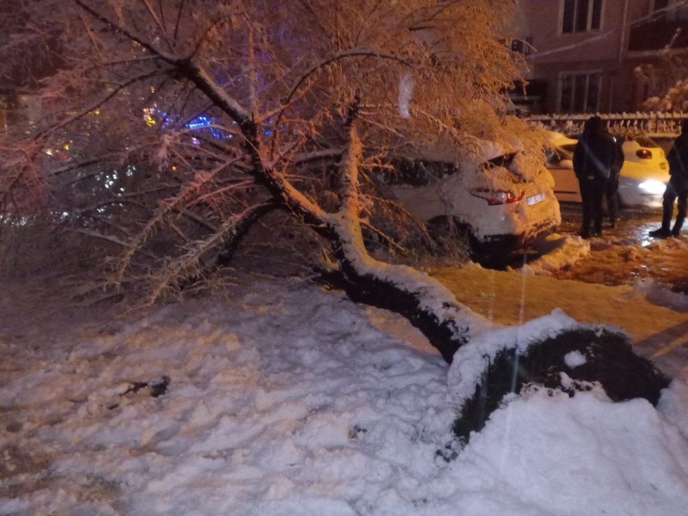 Ağaç Otomobilin Üstüne Devrildi