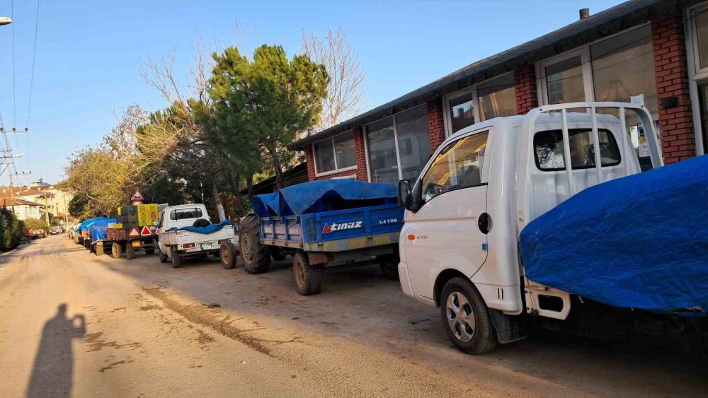 Zeytin Üreticilerinin Tarım Kredi Çilesi