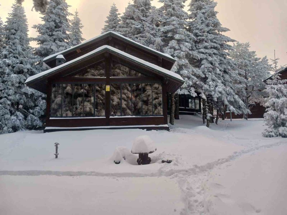 Ekonomik Tatil İsteyenler Bungalovlara Yöneldi