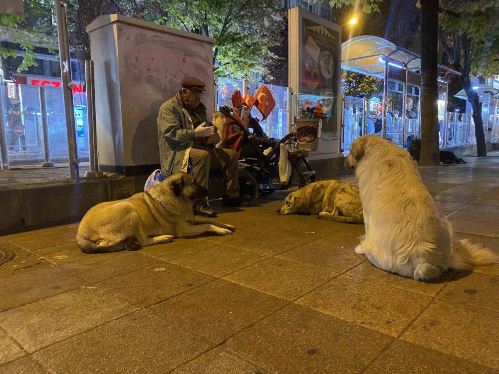 Seyyar Satıcılıktan Elde Ettiği Kazancı Hayvanlarla Paylaşıyor