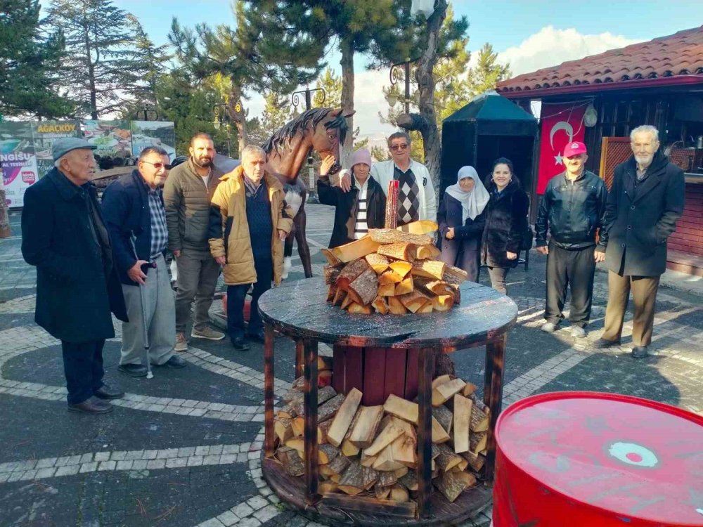 Asırlık Çınarlar Kütahya’da