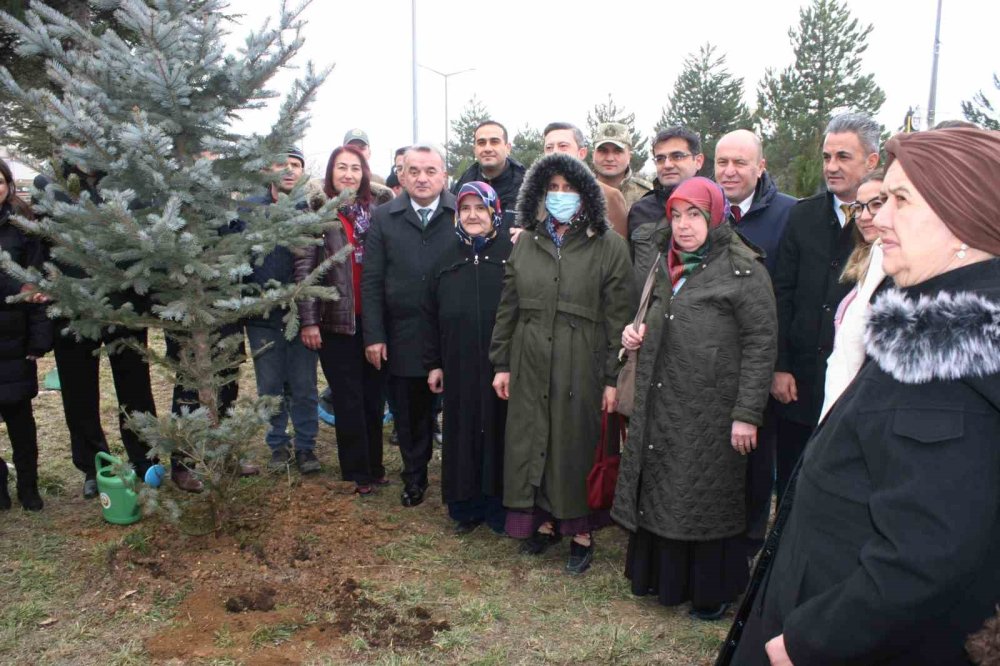 Bozüyük’te Danışanlar Fidan Dikti