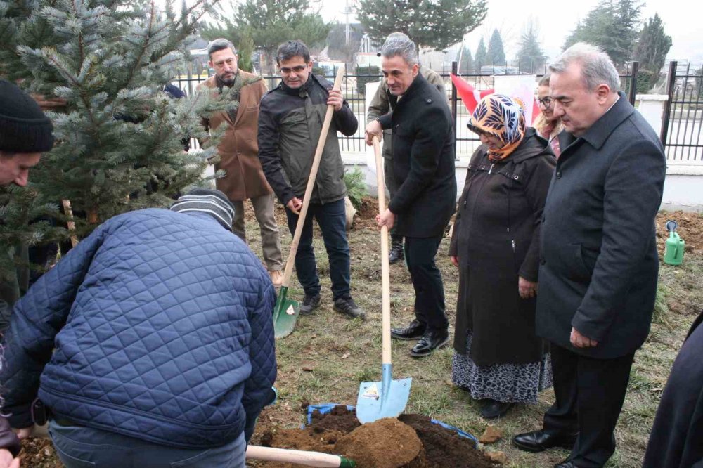 Bozüyük’te Danışanlar Fidan Dikti