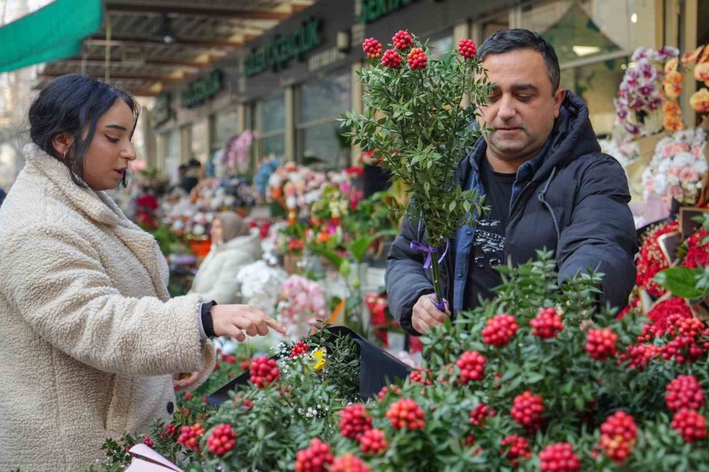 Kokina çiçeği rafları doldurdu