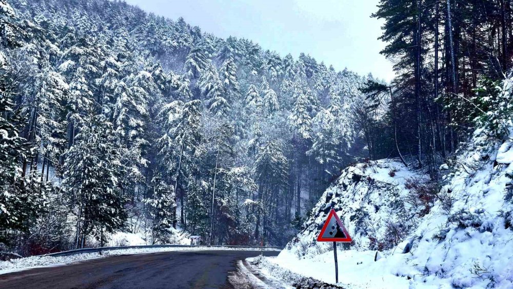 Kocayayla Geçidi'nde kar manzarası