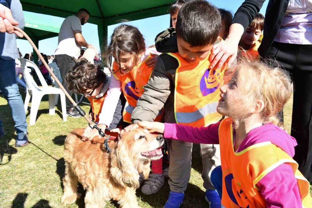 607 Can Sıcak Bir Yuvaya Kavuştu