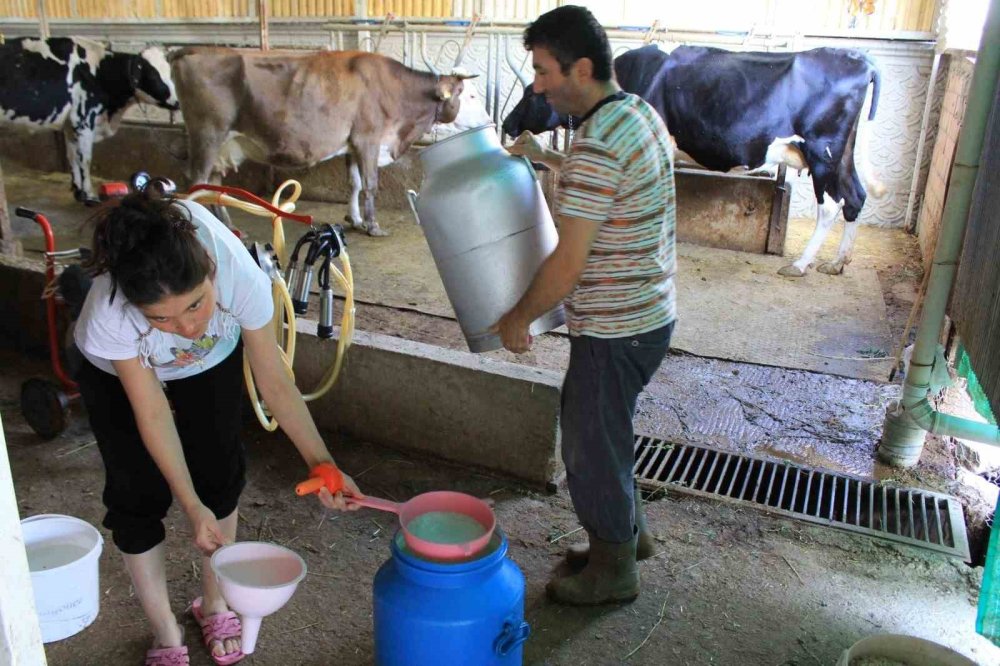 Çiğ Sütte Üreticinin Eline 16 Lira 40 Kuruş Geçecek