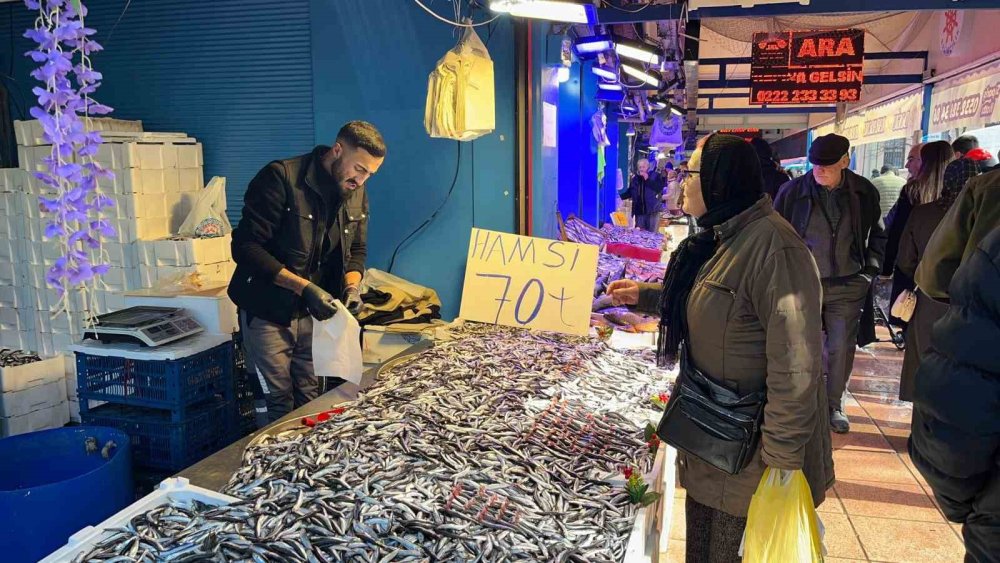 Hamsinin Fiyatı 70 Liraya Kadar Düştü