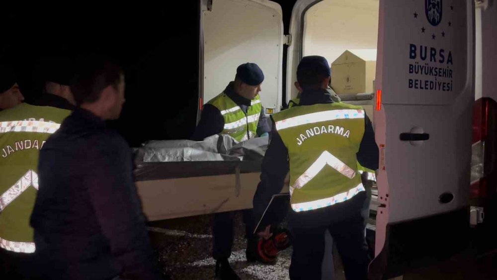 18 Yaşındaki Gencin Cesedi Ormanda Yanmış Halde Bulundu