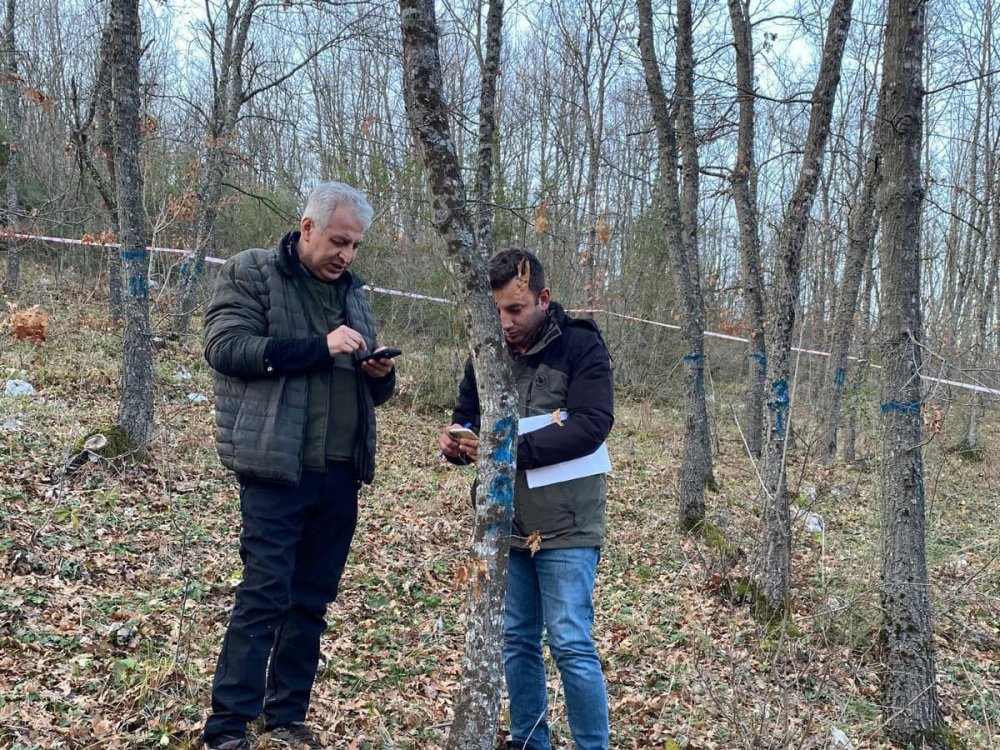 Ormanlarındaki Ağaçlar Tek Tek Kontrol Edildi