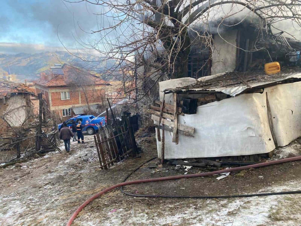 Korkutan Yangın: 1 Büyükbaş Hayvan Telef Oldu