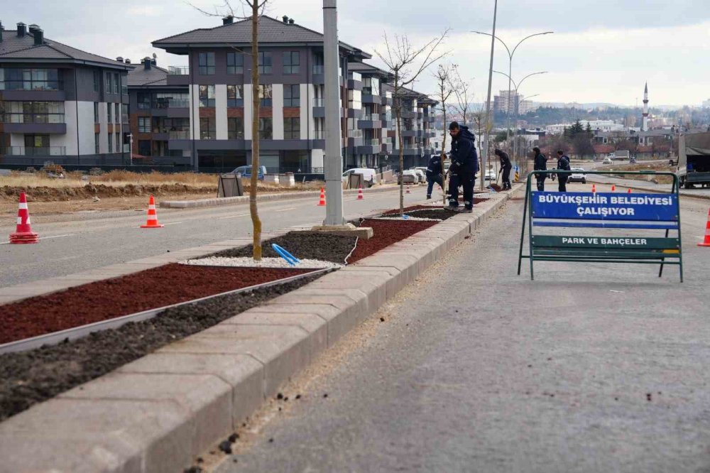 Kuru Peyzaj Düzenlemeleriyle 13 Bin Ton Su Tasarrufu Sağlandı