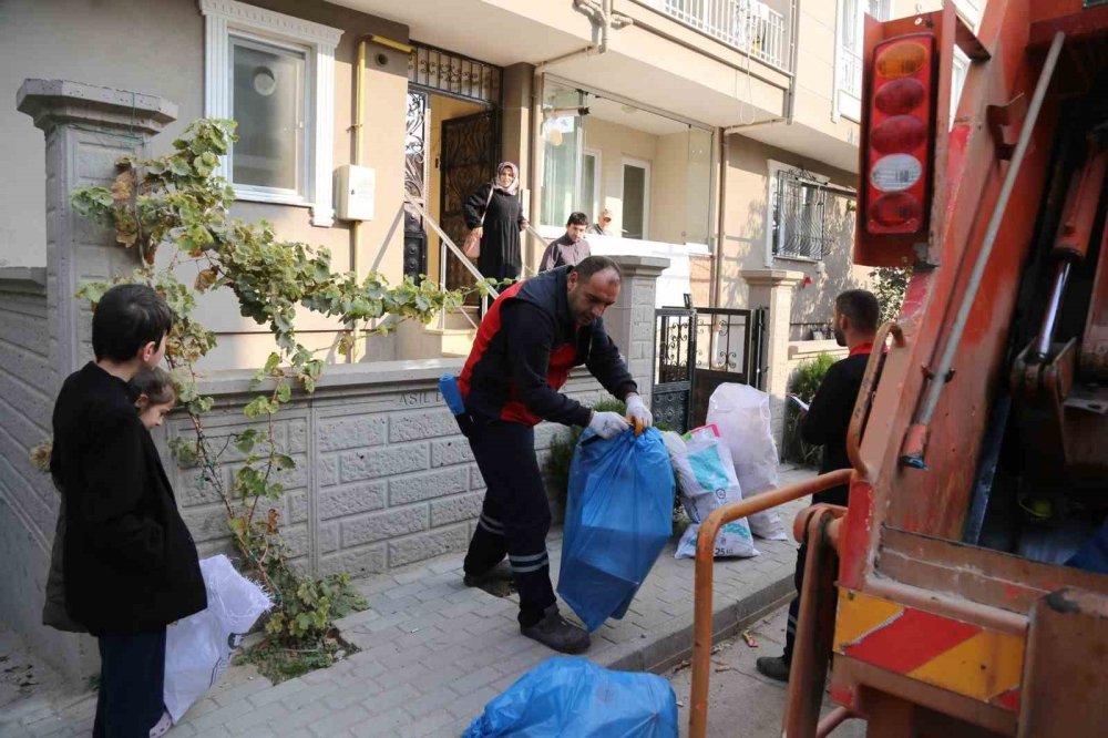 2800 Ağacı Kesilmekten Kurtarıldılar