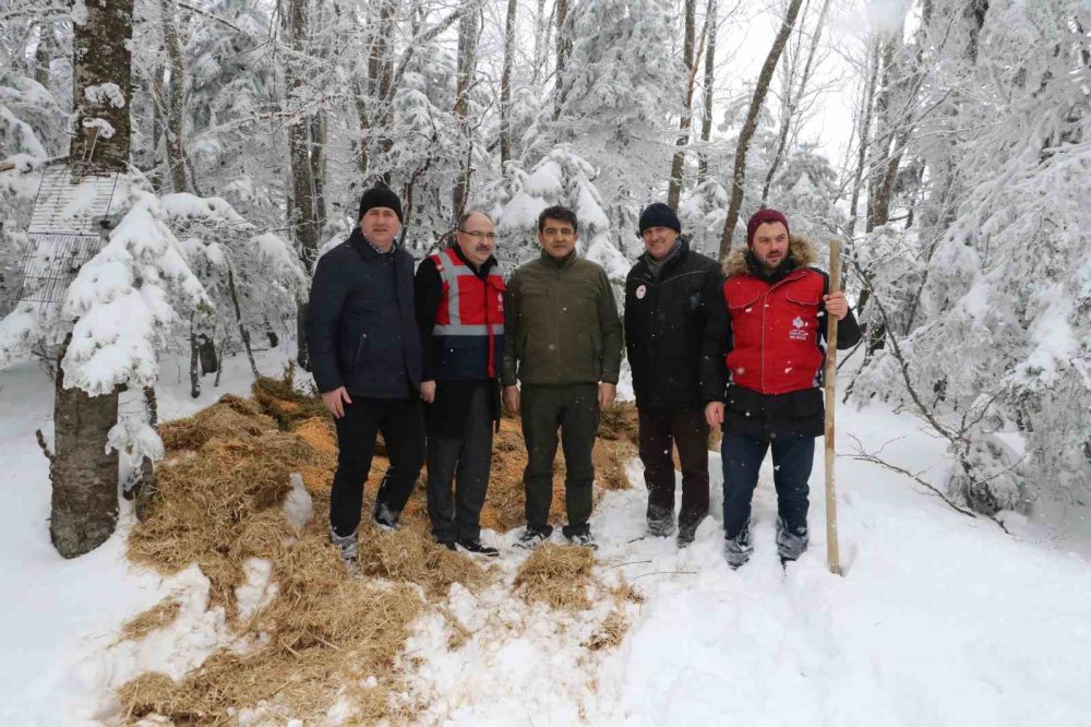 Doğa Koruma Ve Milli Parklar Yaban Hayvanlarını Unutmadı