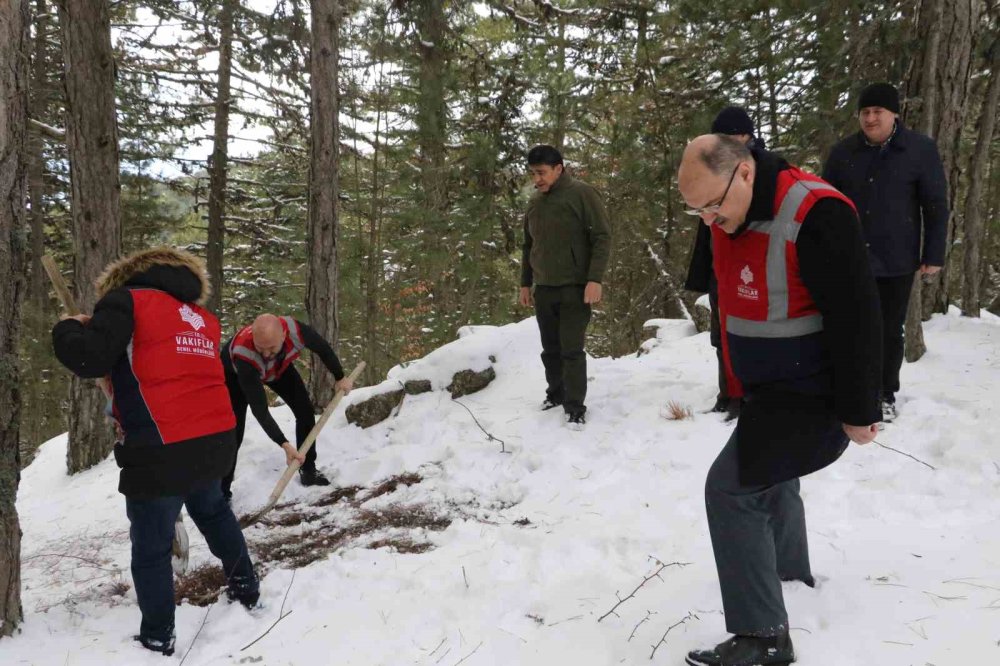 Doğa Koruma Ve Milli Parklar Yaban Hayvanlarını Unutmadı