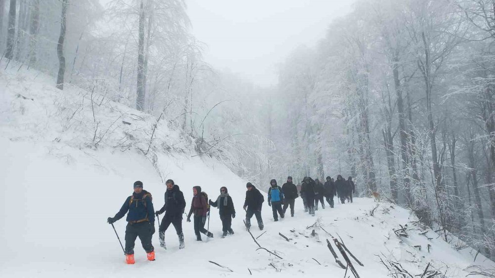 Tavşanlı’dan, Domaniç İlçesine Yürüyüş İçin Gittiler