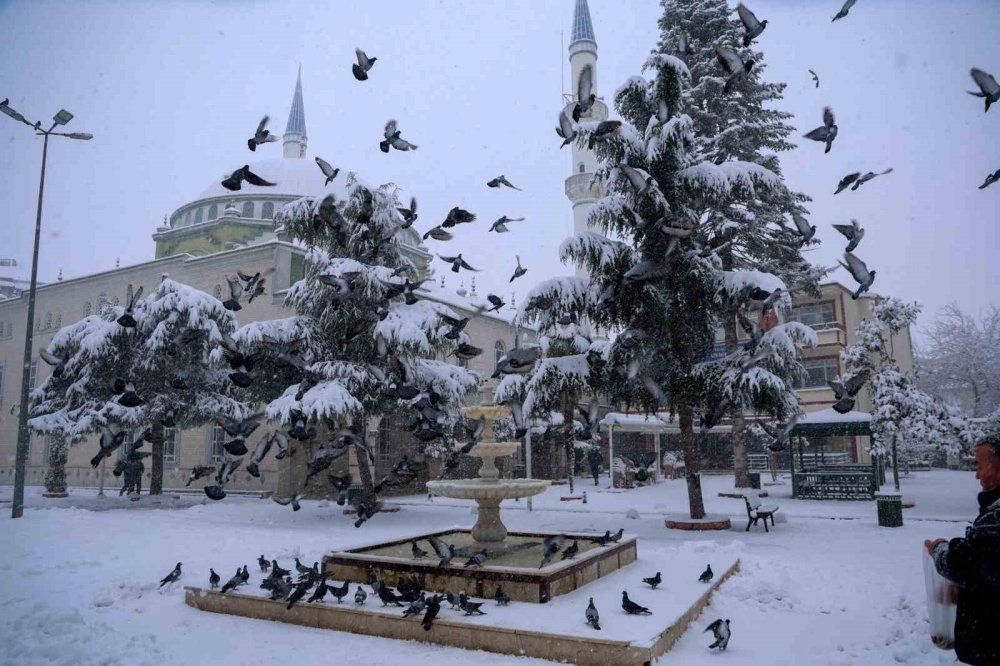 Soğuk Havada Yürek Isıtan Görüntü