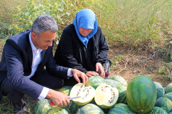 sari-karpuz-hasadi-yapildi2.jpg